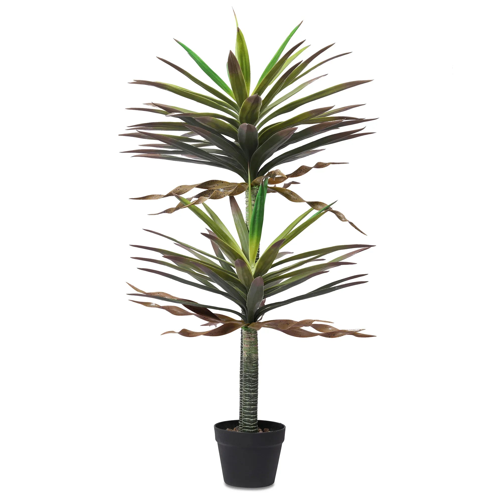 Blume Artificial Potted Plant Tall Succulent 120cm in Green Colour By Living Essence - HomeTown