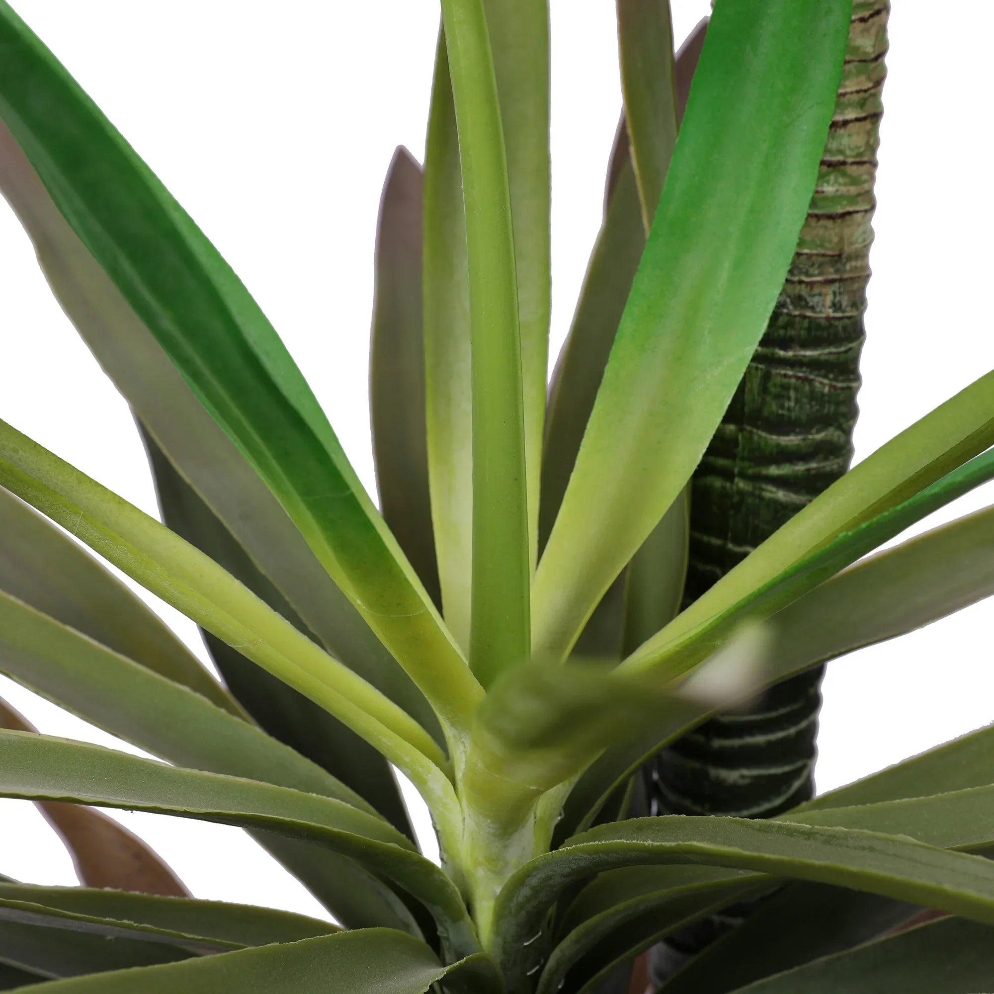 Blume Artificial Potted Plant Tall Succulent 120cm in Green Colour By Living Essence - HomeTown