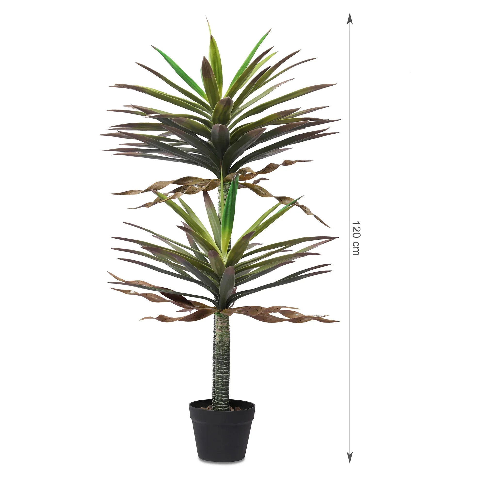 Blume Artificial Potted Plant Tall Succulent 120cm in Green Colour By Living Essence - HomeTown