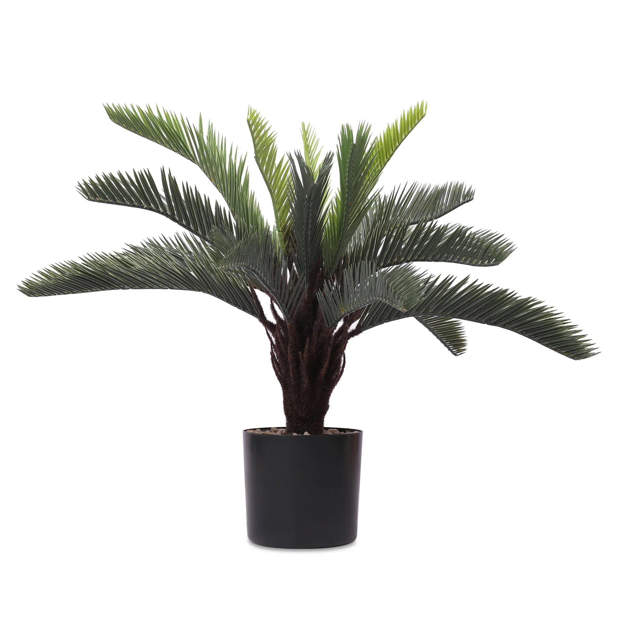Blume Artificial Potted Plant Cycas Palm 55cm in Green Colour By Living Essence - HomeTown