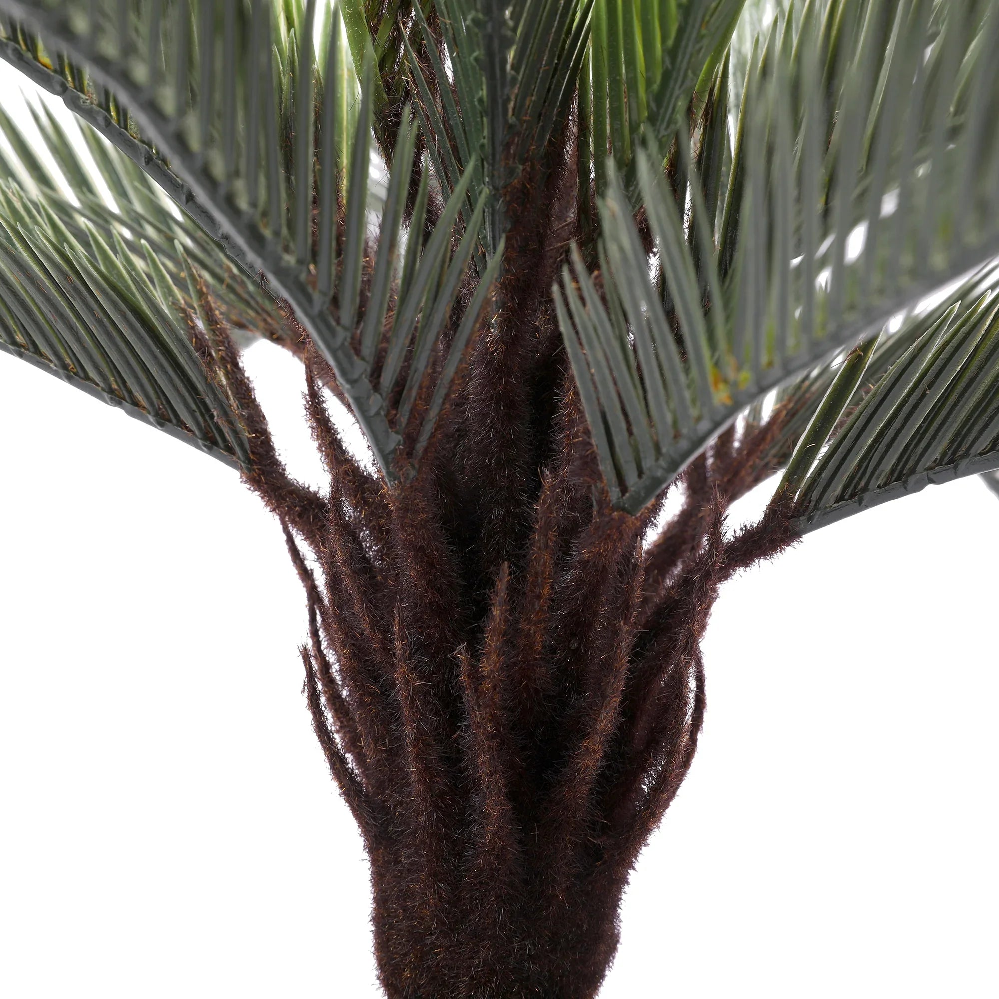 Blume Artificial Potted Plant Cycas Palm 55cm in Green Colour By Living Essence - HomeTown