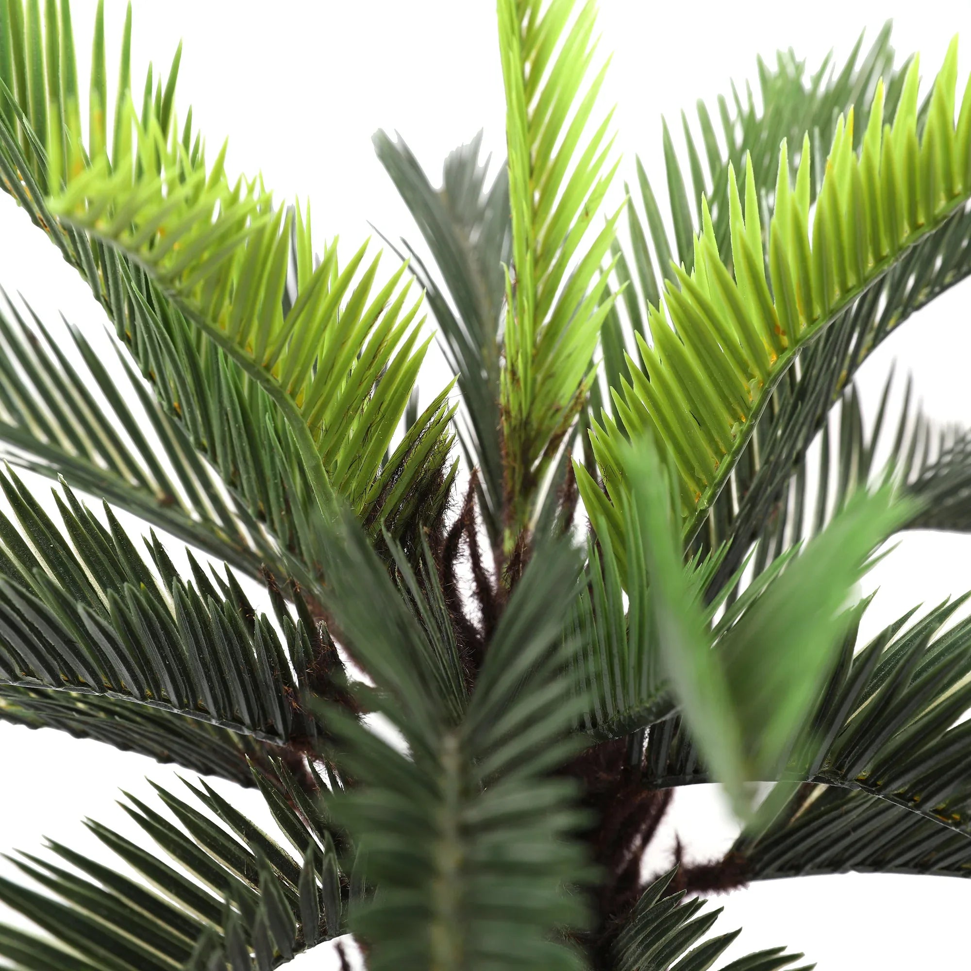 Blume Artificial Potted Plant Cycas Palm 55cm in Green Colour By Living Essence - HomeTown