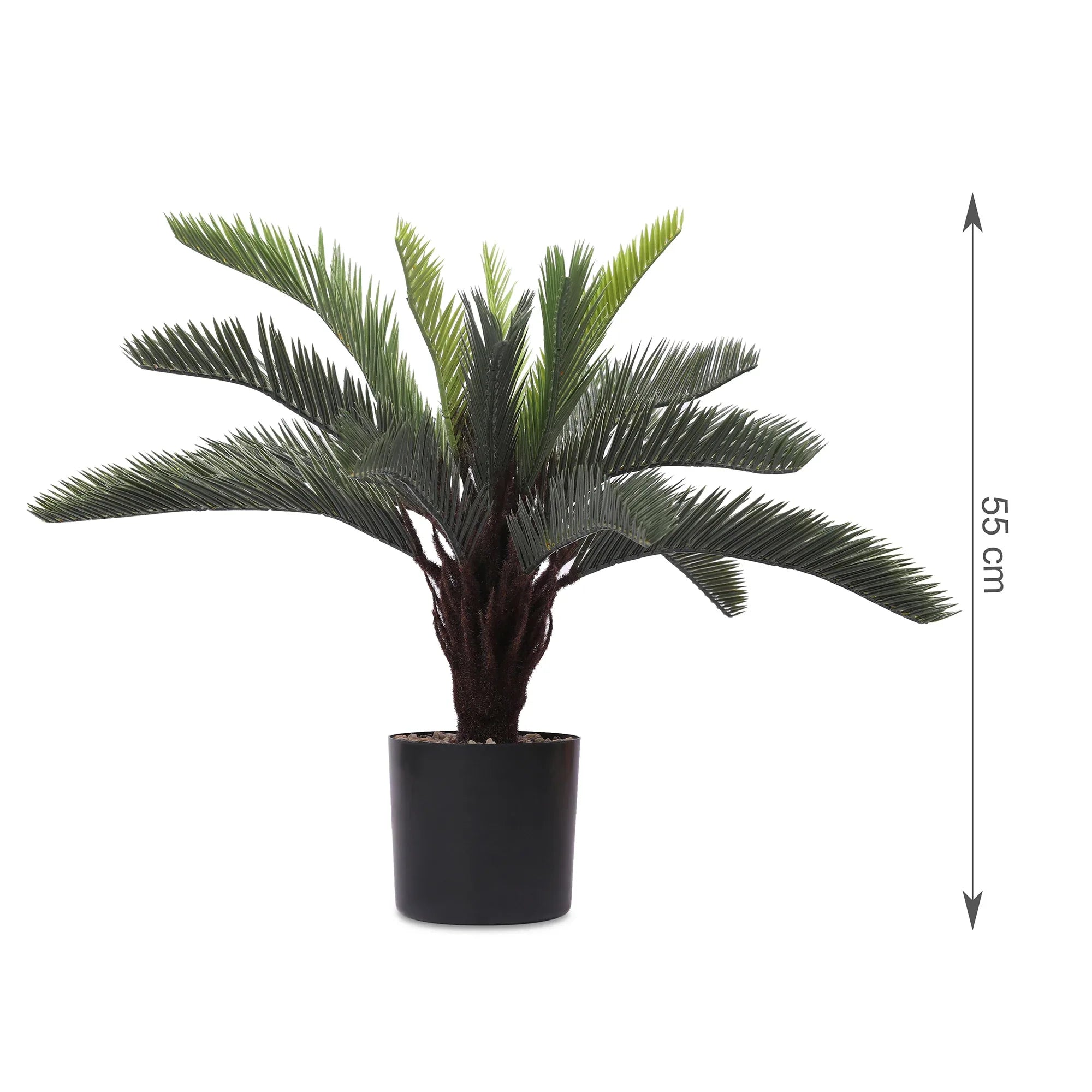 Blume Artificial Potted Plant Cycas Palm 55cm in Green Colour By Living Essence - HomeTown