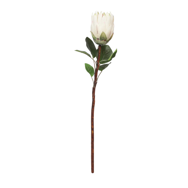 Blume Artificial Flower Protea Stem 66cm in White Colour By Living Essence dimensions