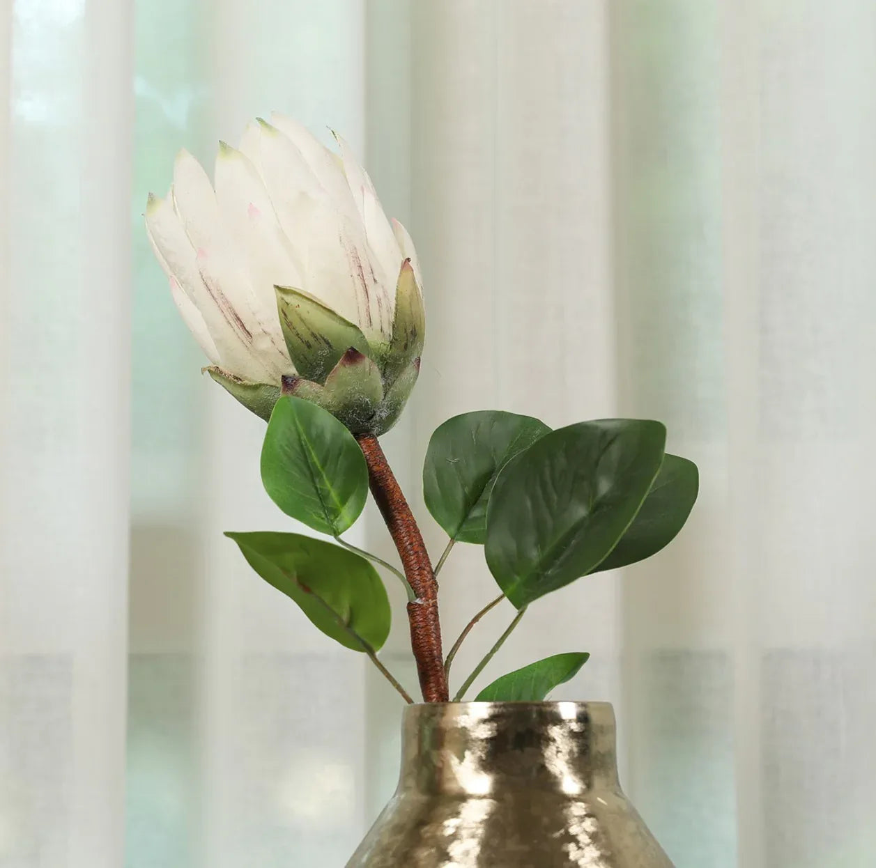 Blume Artificial Flower Protea Stem 66cm in White Colour By Living Essence - HomeTown