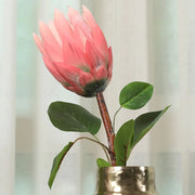 Blume Artificial Flower Protea Stem 66cm in Peach Colour By Living Essence - HomeTown