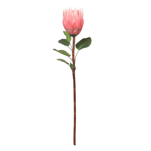 Blume Artificial Flower Protea Stem 66cm in Peach Colour By Living Essence dimensions