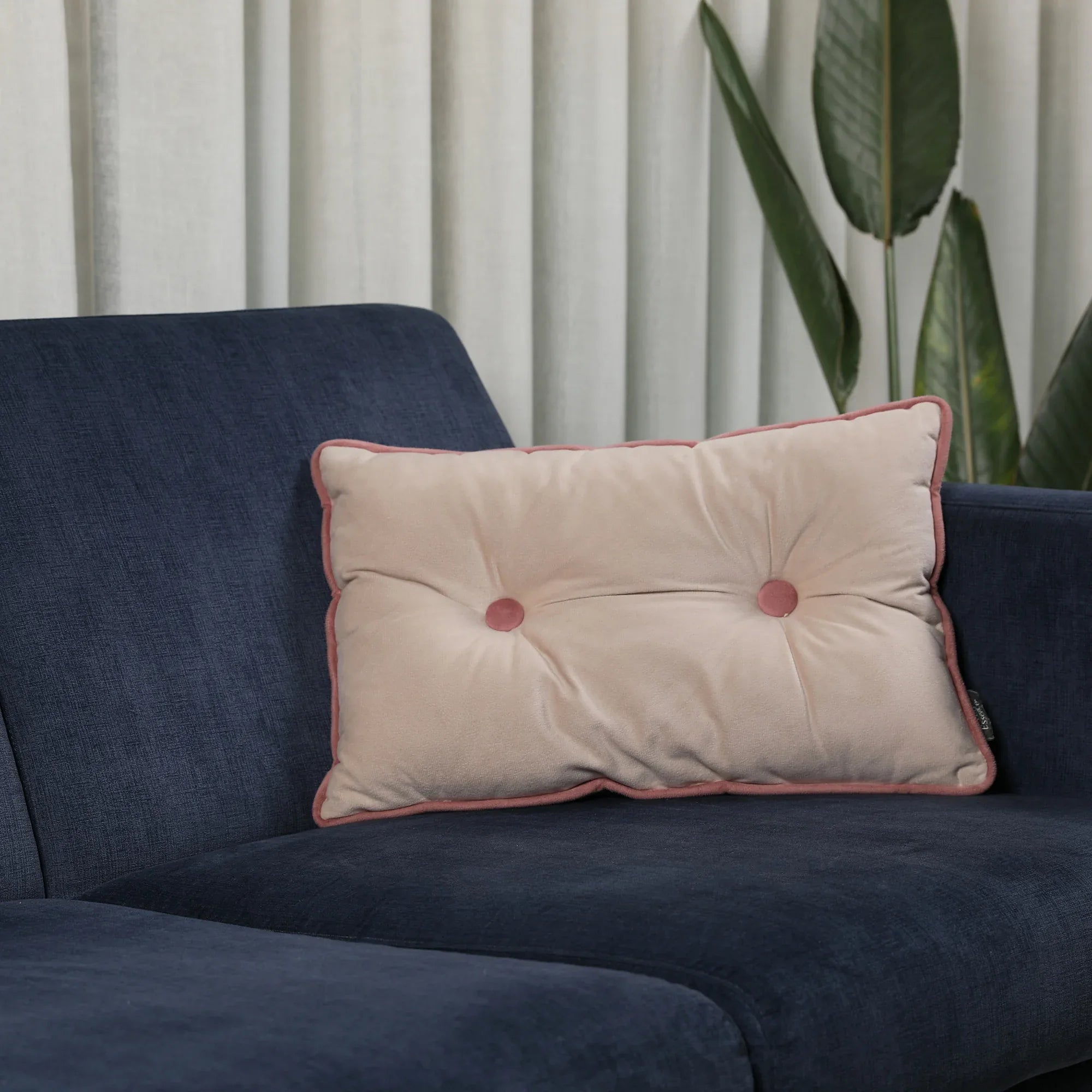 Velvet Solid Dori Filled Cushion Beige, 30X45cm - HomeTown