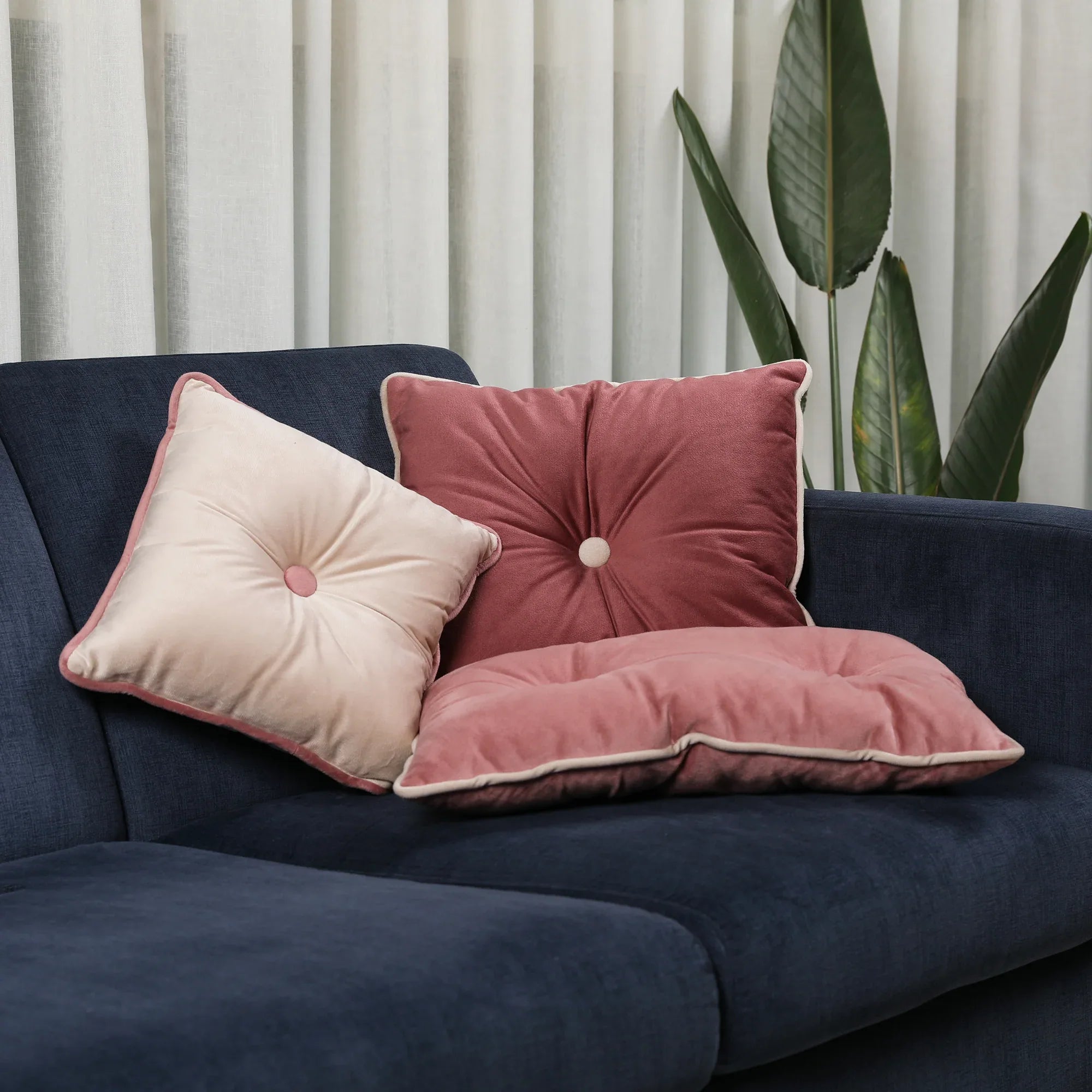 Velvet Solid Dori Filled Cushion Rose, 40X40cm - HomeTown