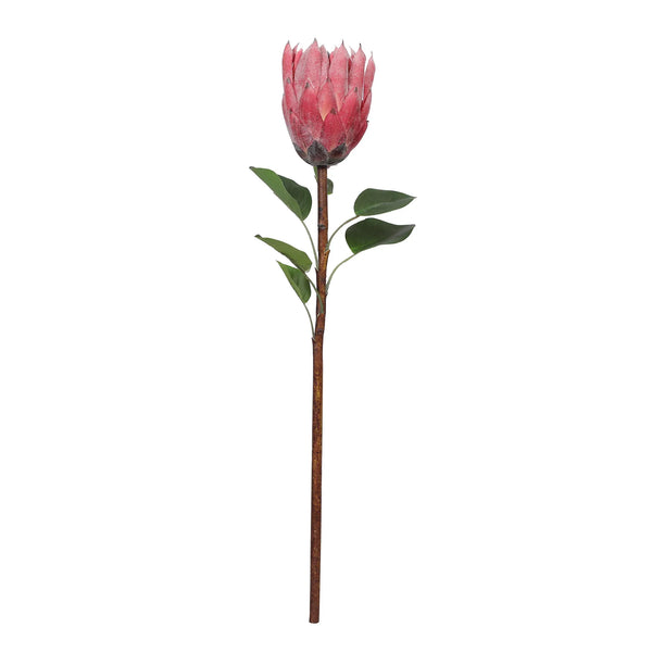 Blume Artificial Flower Protea Stem 66cm in Pink Colour By Living Essence dimensions