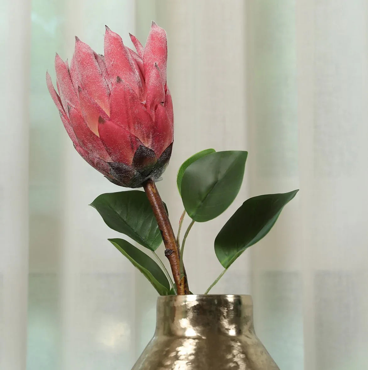 Blume Artificial Flower Protea Stem 66cm in Pink Colour By Living Essence - HomeTown
