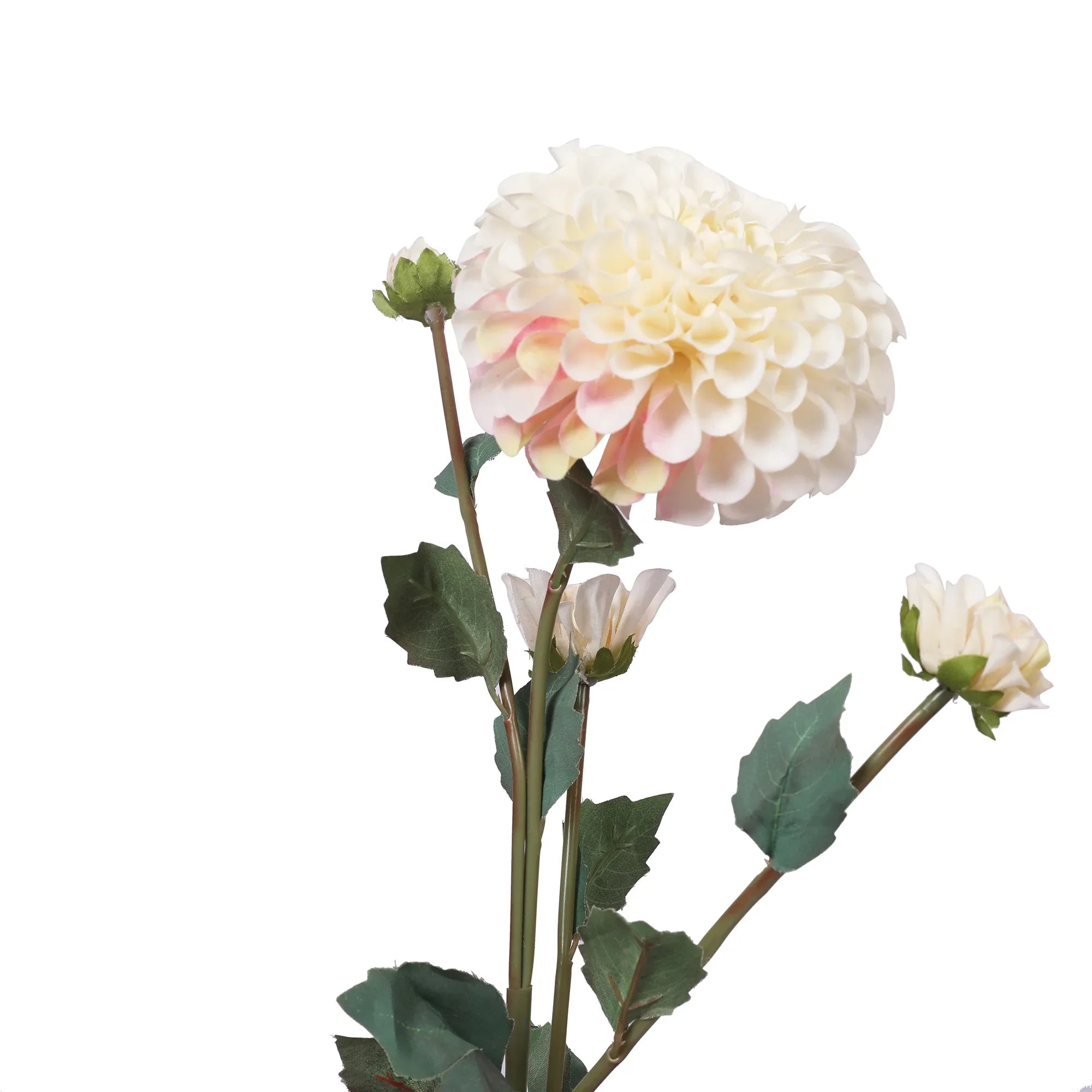 Blume Artificial Flower Dahlia Stem 78cm in White Colour By Living Essence - HomeTown