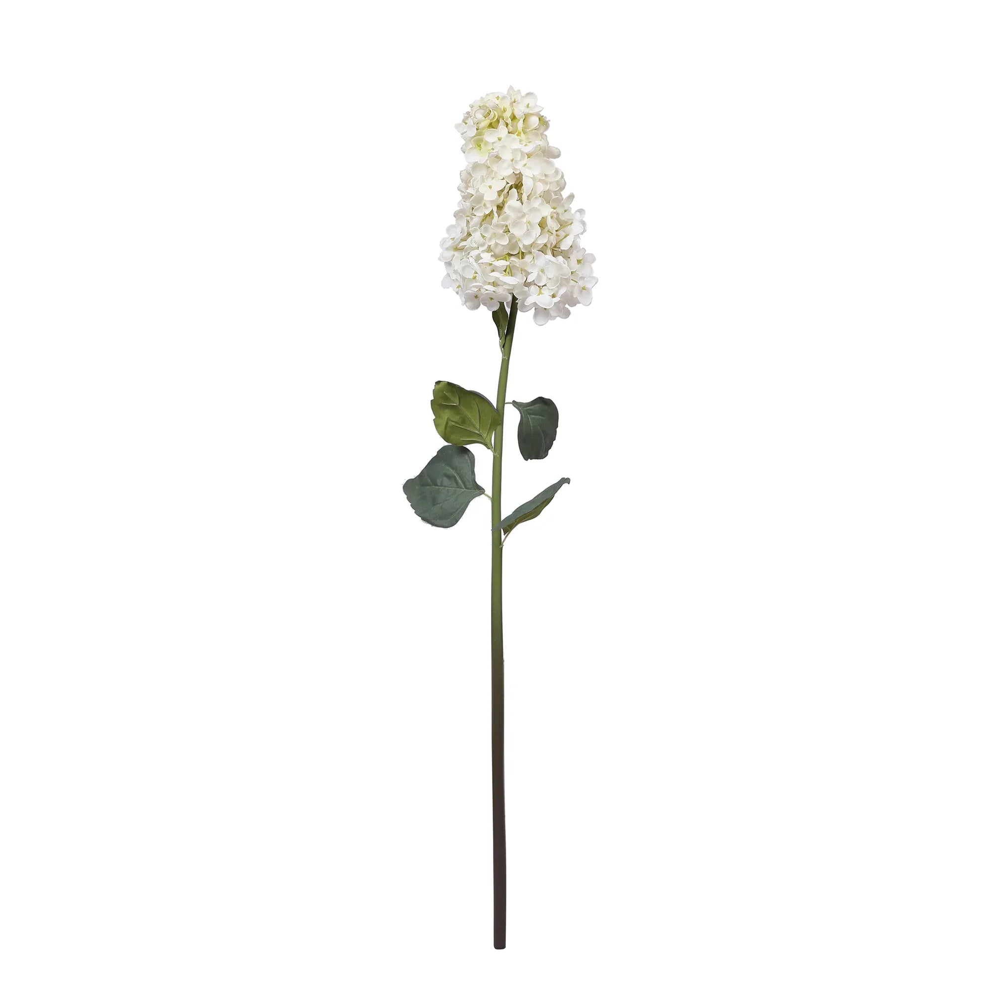 Blume Artificial Flower Hydrangea Stem 88cm in White Colour By Living Essence - HomeTown