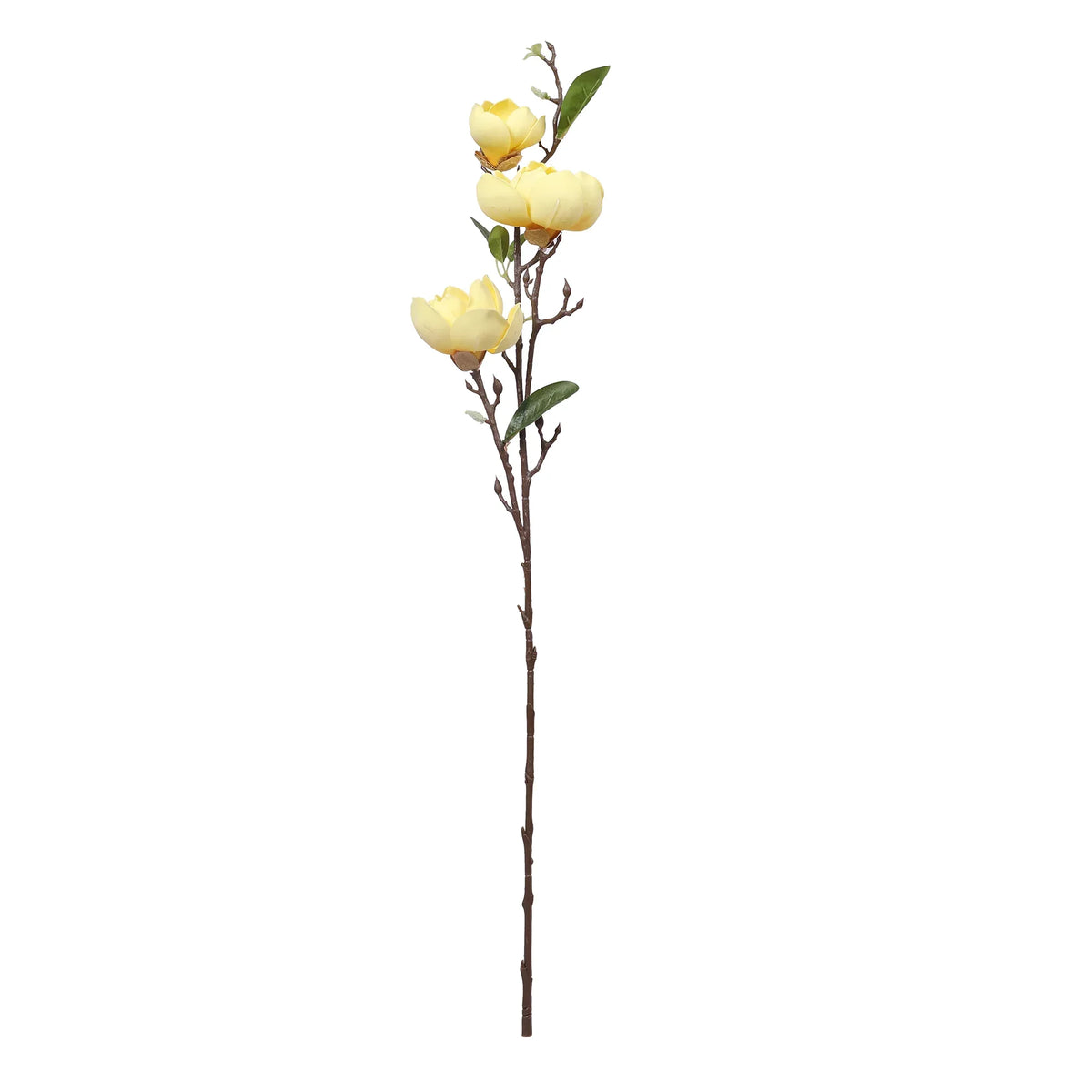 Blume Artificial Flower Magnolia Stem 94cm in Yellow Colour By Living Essence - HomeTown