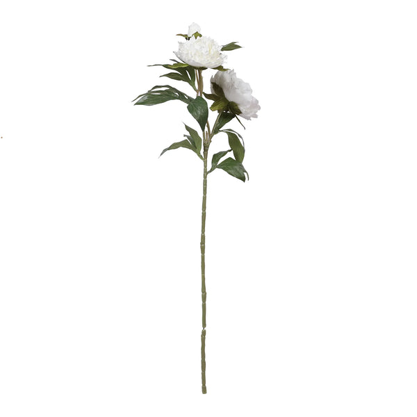 Blume Artificial Flower Peony Stem 74cm in White Colour By Living Essence dimensions