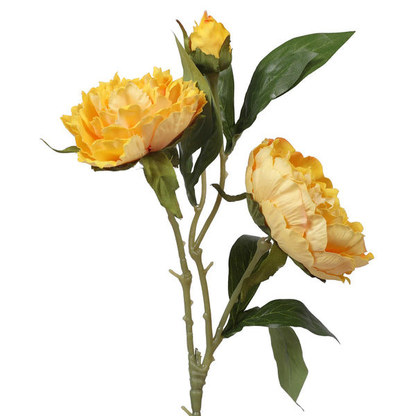 Blume Artificial Flower Peony Stem 74cm in Yellow Colour By Living Essence dimensions