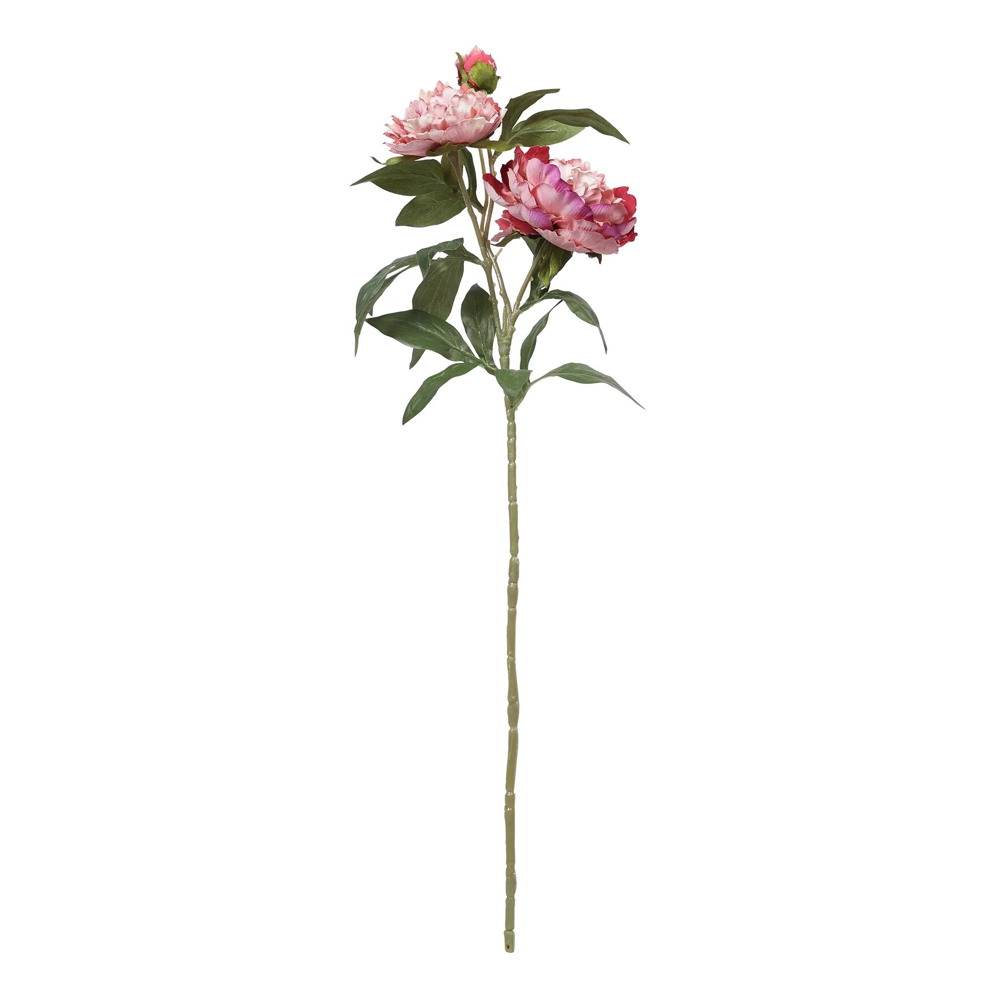 Blume Artificial Flower Peony Stem 74cm in Pink Colour By Living Essence - HomeTown