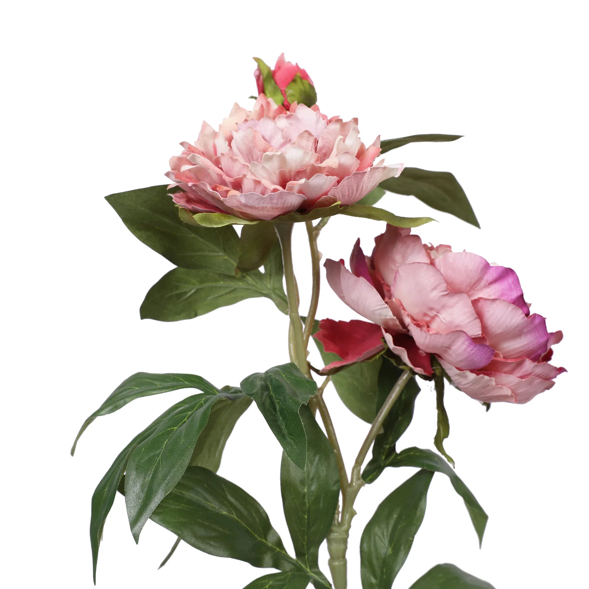 Blume Artificial Flower Peony Stem 74cm in Pink Colour By Living Essence - HomeTown