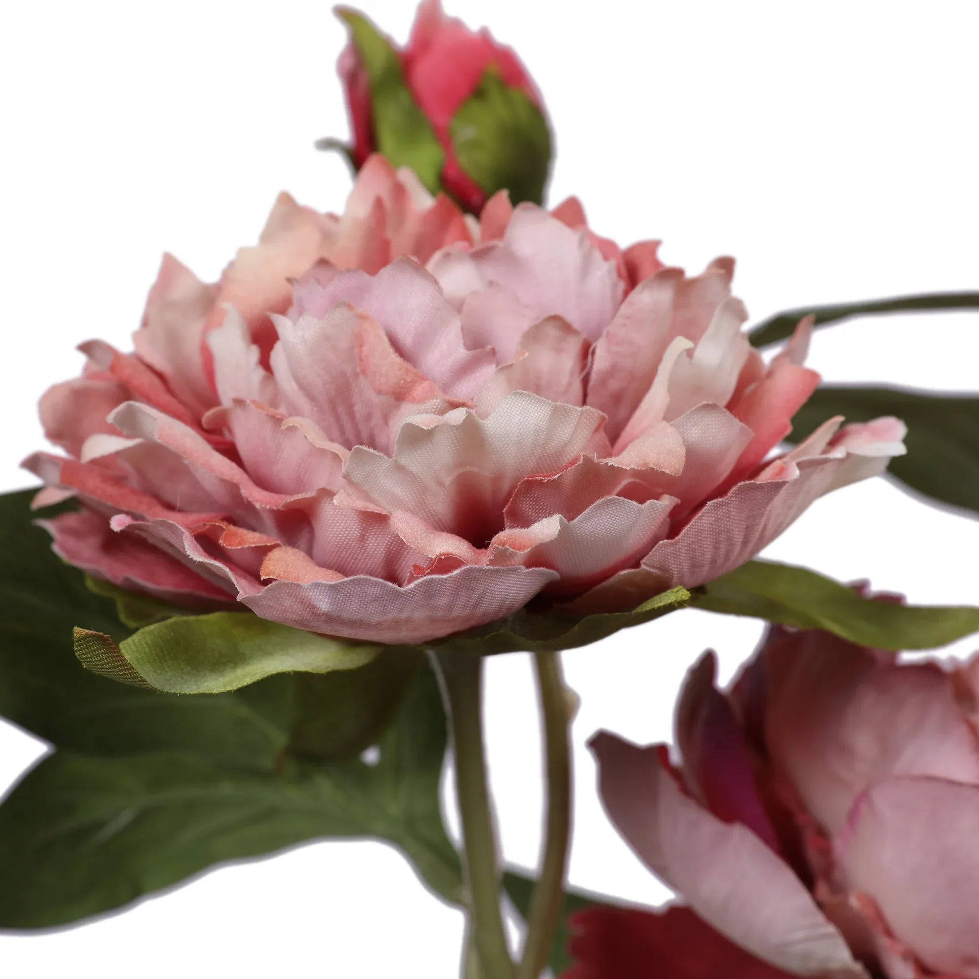 Blume Artificial Flower Peony Stem 74cm in Pink Colour By Living Essence - HomeTown