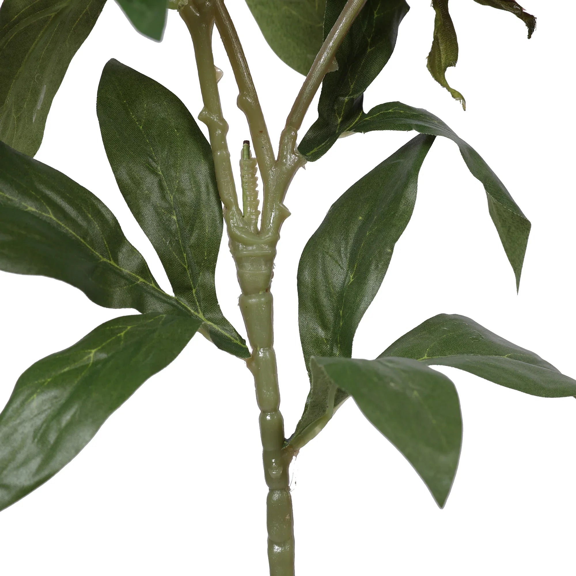 Blume Artificial Flower Peony Stem 74cm in Pink Colour By Living Essence - HomeTown