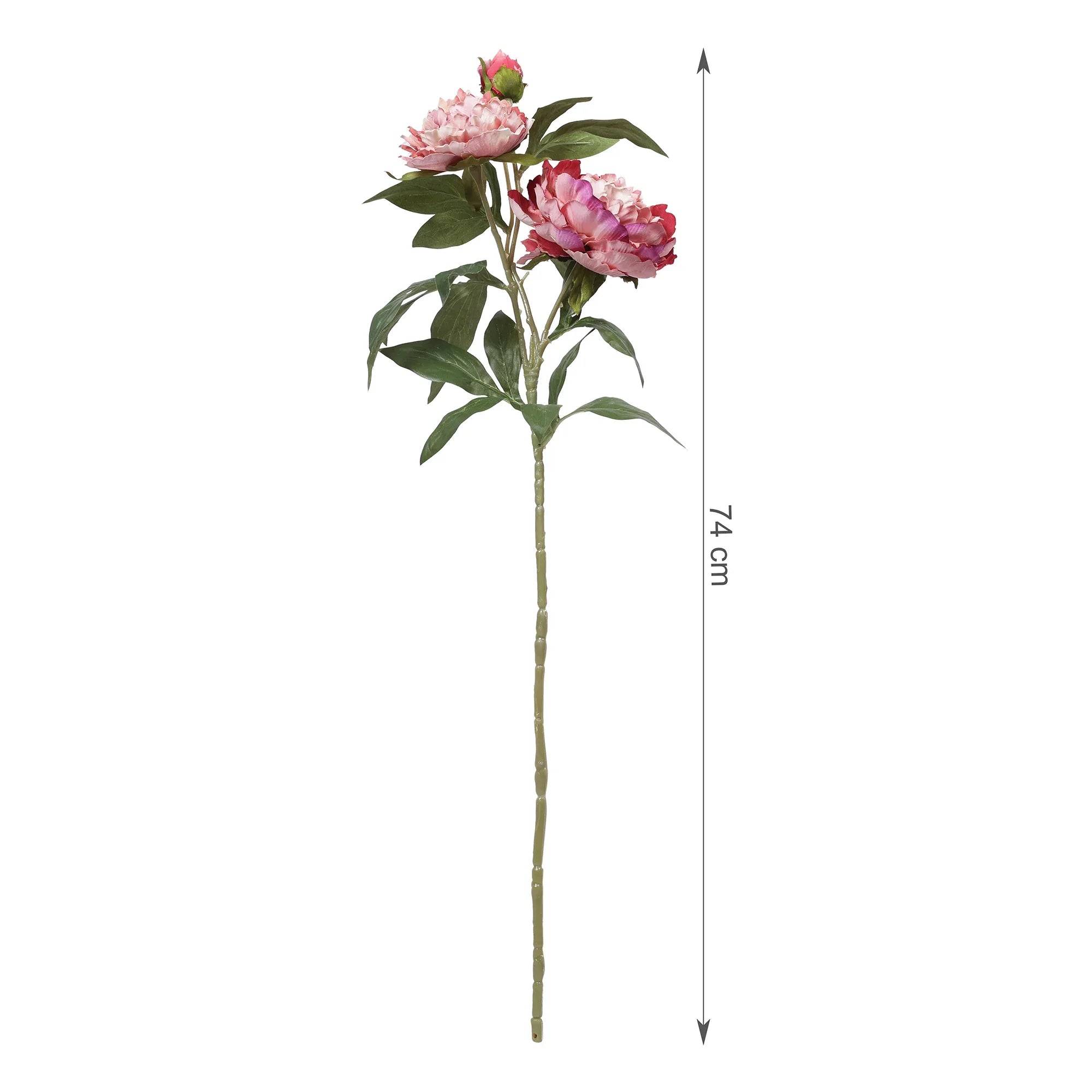 Blume Artificial Flower Peony Stem 74cm in Pink Colour By Living Essence - HomeTown