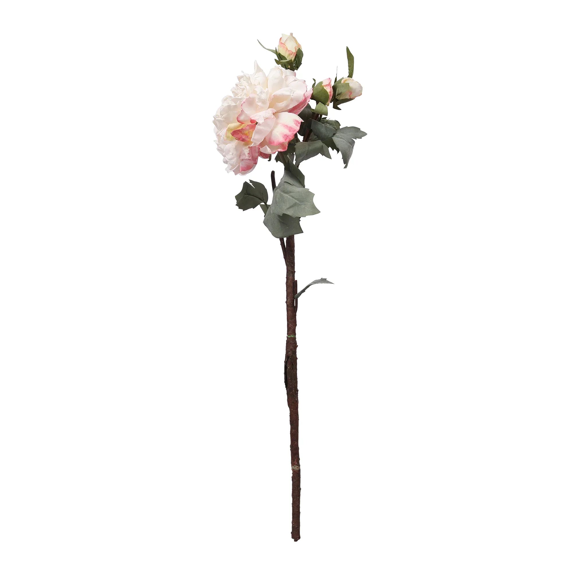 Blume Artificial Flower Rose Stem 58cm in White Colour By Living Essence - HomeTown