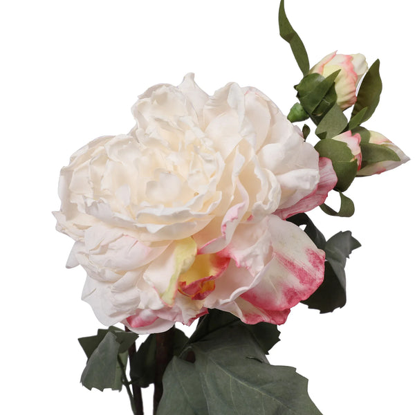Blume Artificial Flower Rose Stem 58cm in White Colour By Living Essence dimensions