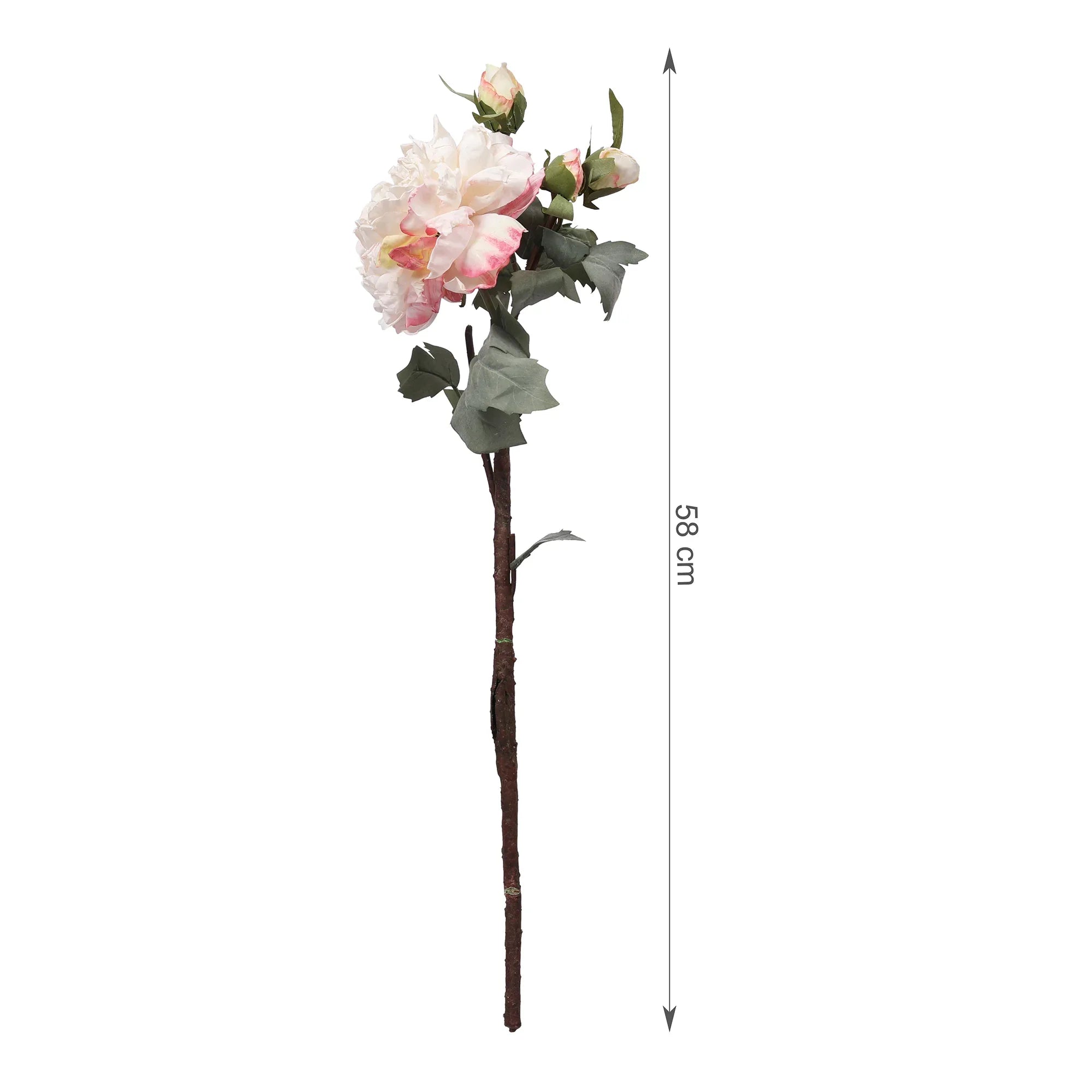Blume Artificial Flower Rose Stem 58cm in White Colour By Living Essence - HomeTown