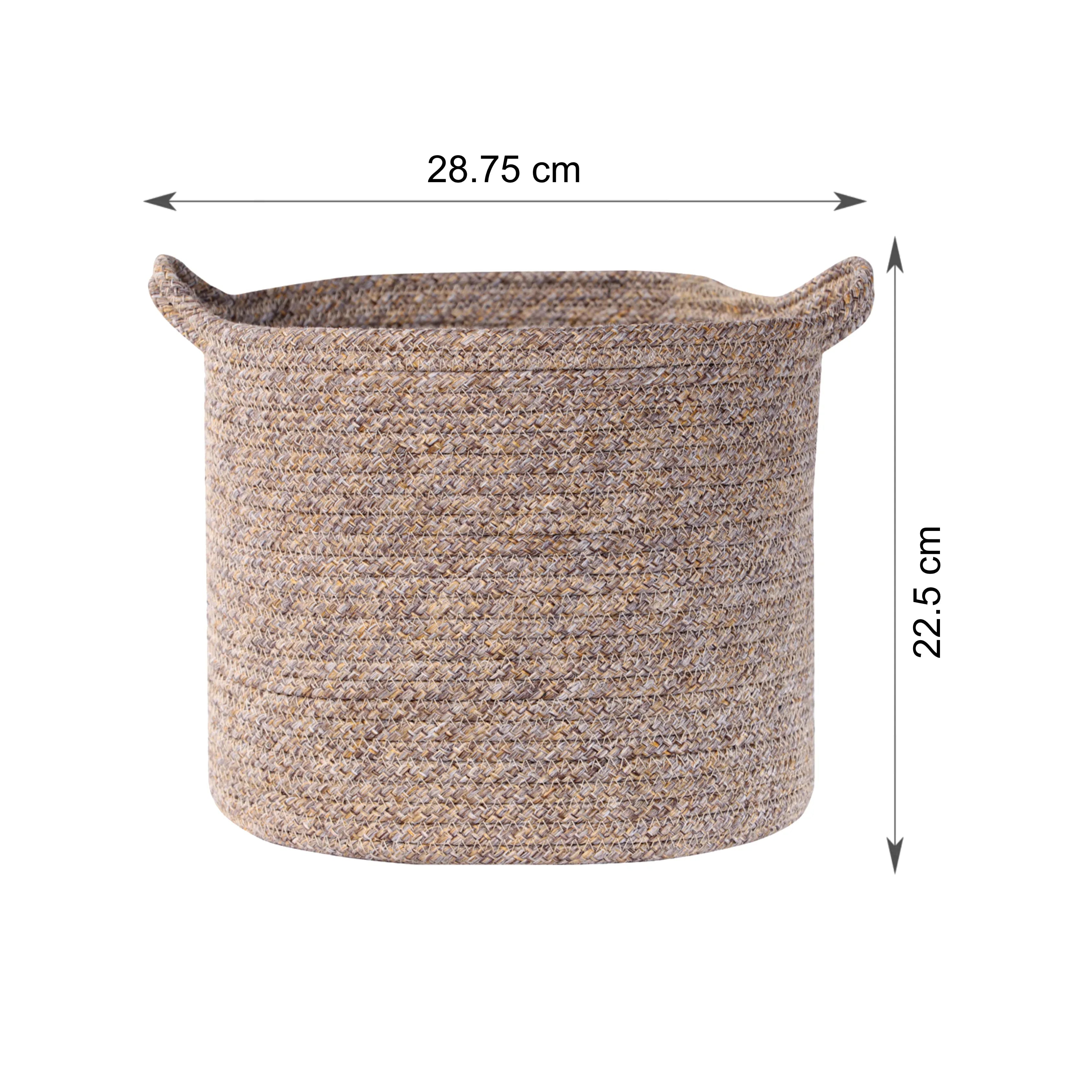 Kenso Polypropylene Organizer Bin Medium in Beige Colour by Living Essence - HomeTown