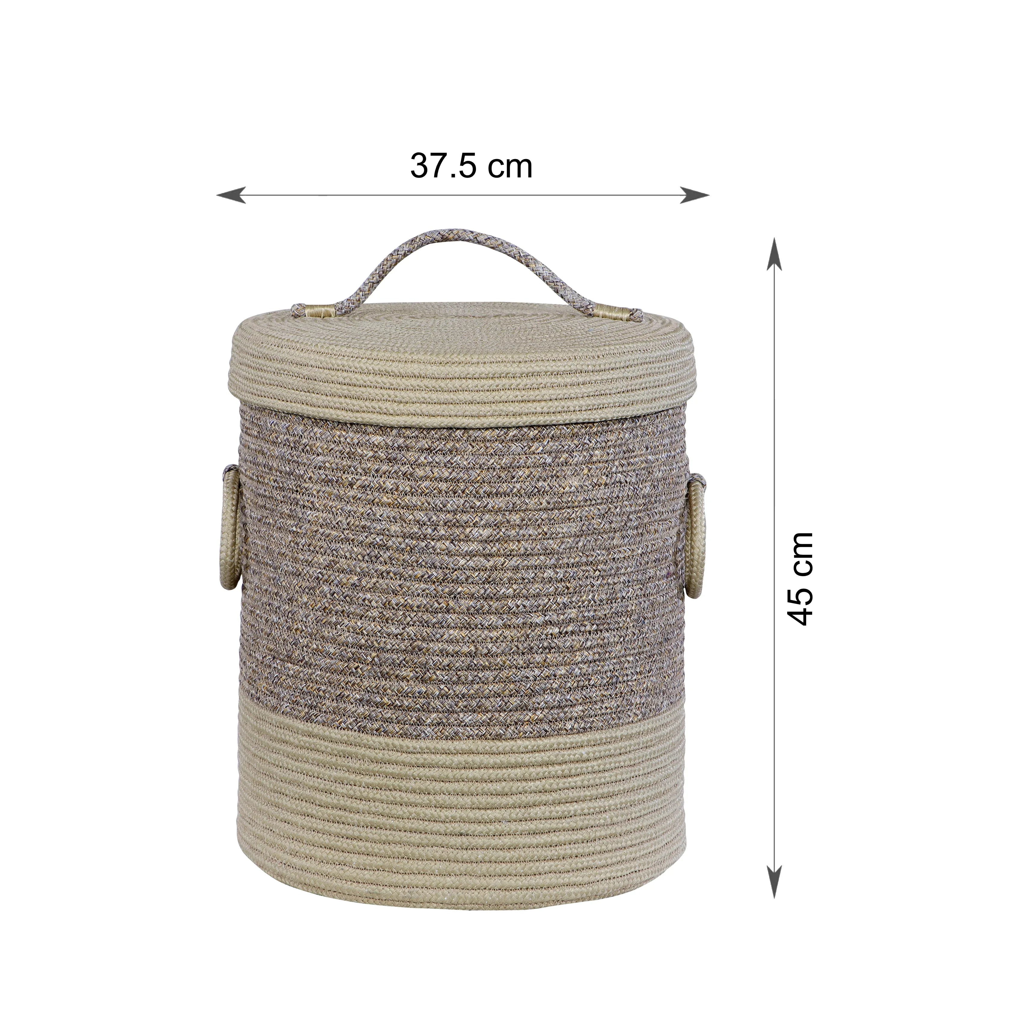 Kenso Polypropylene Laundry Basket in Beige Colour by Living Essence - HomeTown