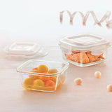Borosil Square Klip and Store Container Set of 2pcs (320 Ml + 520 Ml)