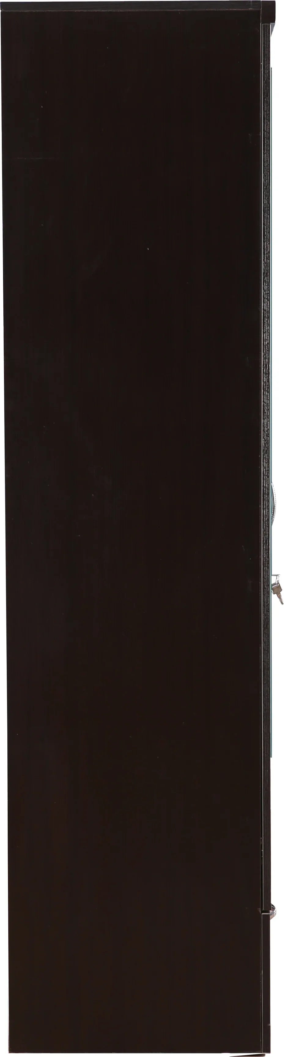 Utsav Two Door Wardrobe with Mirror - HomeTown