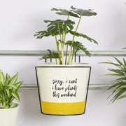Pep Pop Metal Quote Railing Planter 26Cm in Off White & Yellow Colour - HomeTown