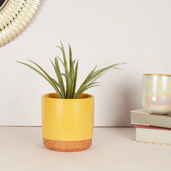 Alura Milan Ceramic Planter 13Cm in Mustard Colour dimensions
