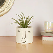 Alura Milan Face4 Ceramic Planter 14Cm in White Colour - HomeTown