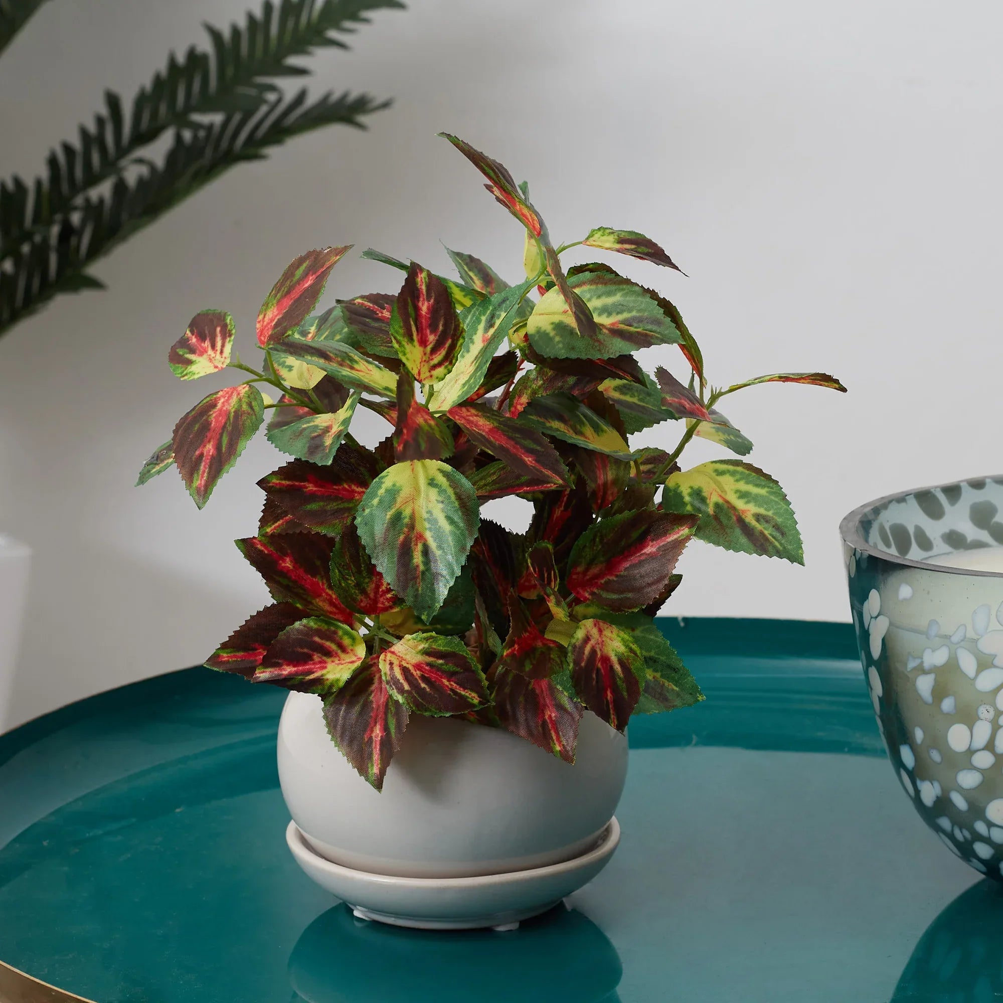 Ilana Faux Coleus Ceramic Potted Plant 24 Cm in Green Colour - HomeTown