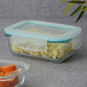 Robust Glass Rectangle Container with PP Lid 370ML in Transparent Colour - HomeTown