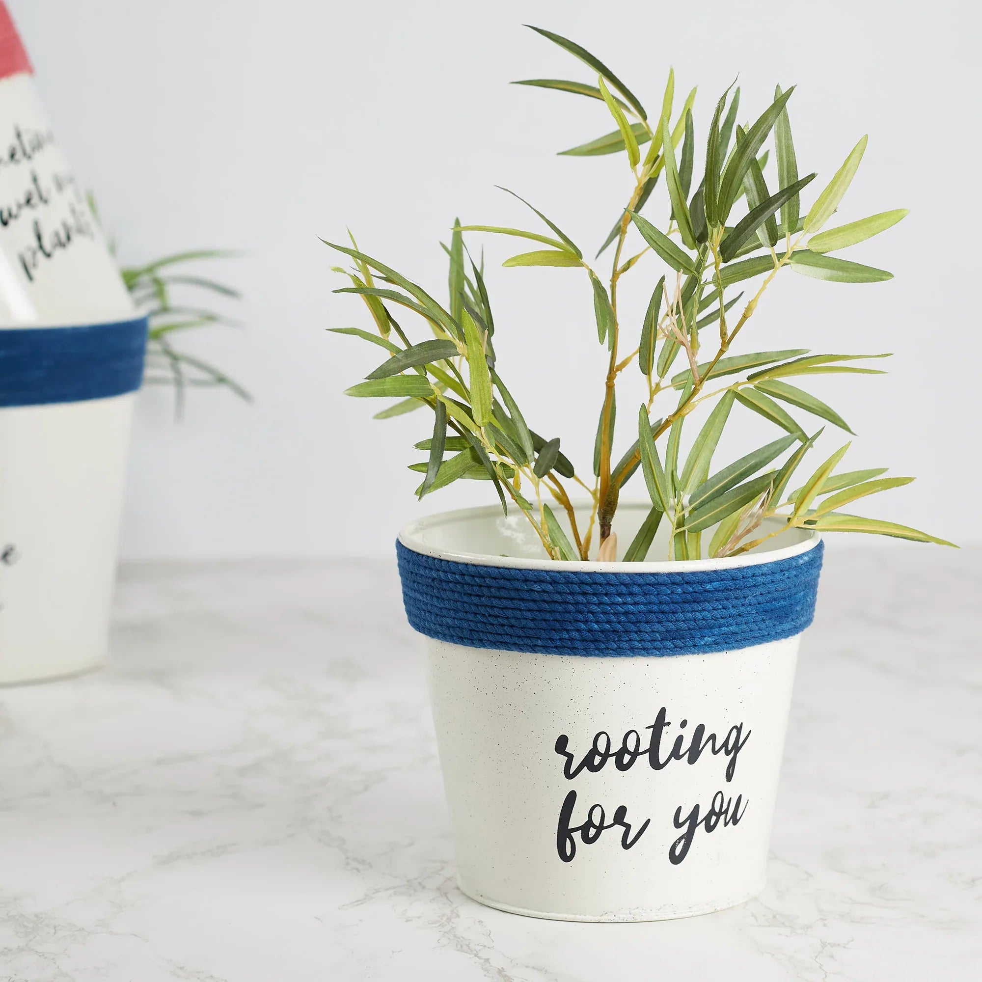 Pep Pop Metal Funky Quote Planter 14Cm in Off White & Indigo Colour - HomeTown