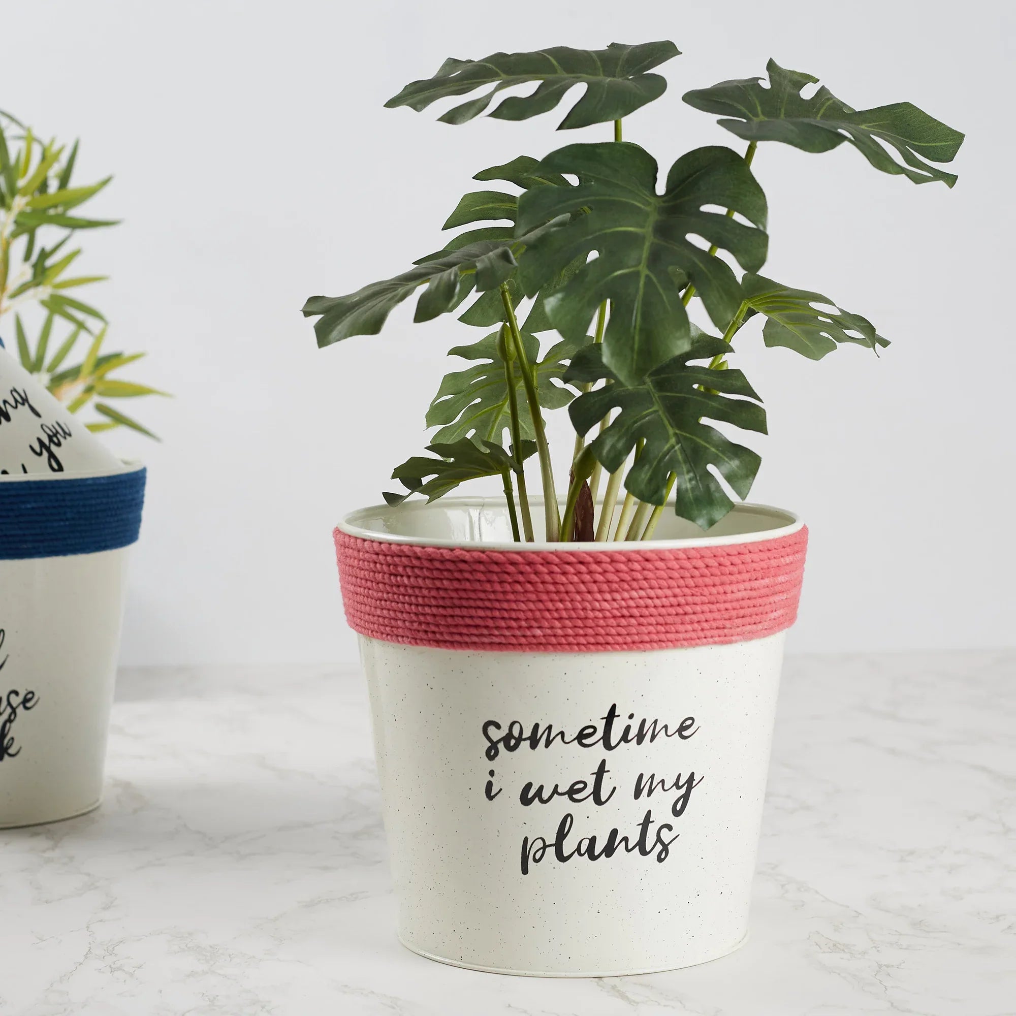 Pep Pop Metal Funky Quote Planter 19Cm in Off White & Fuchsia Colour - HomeTown