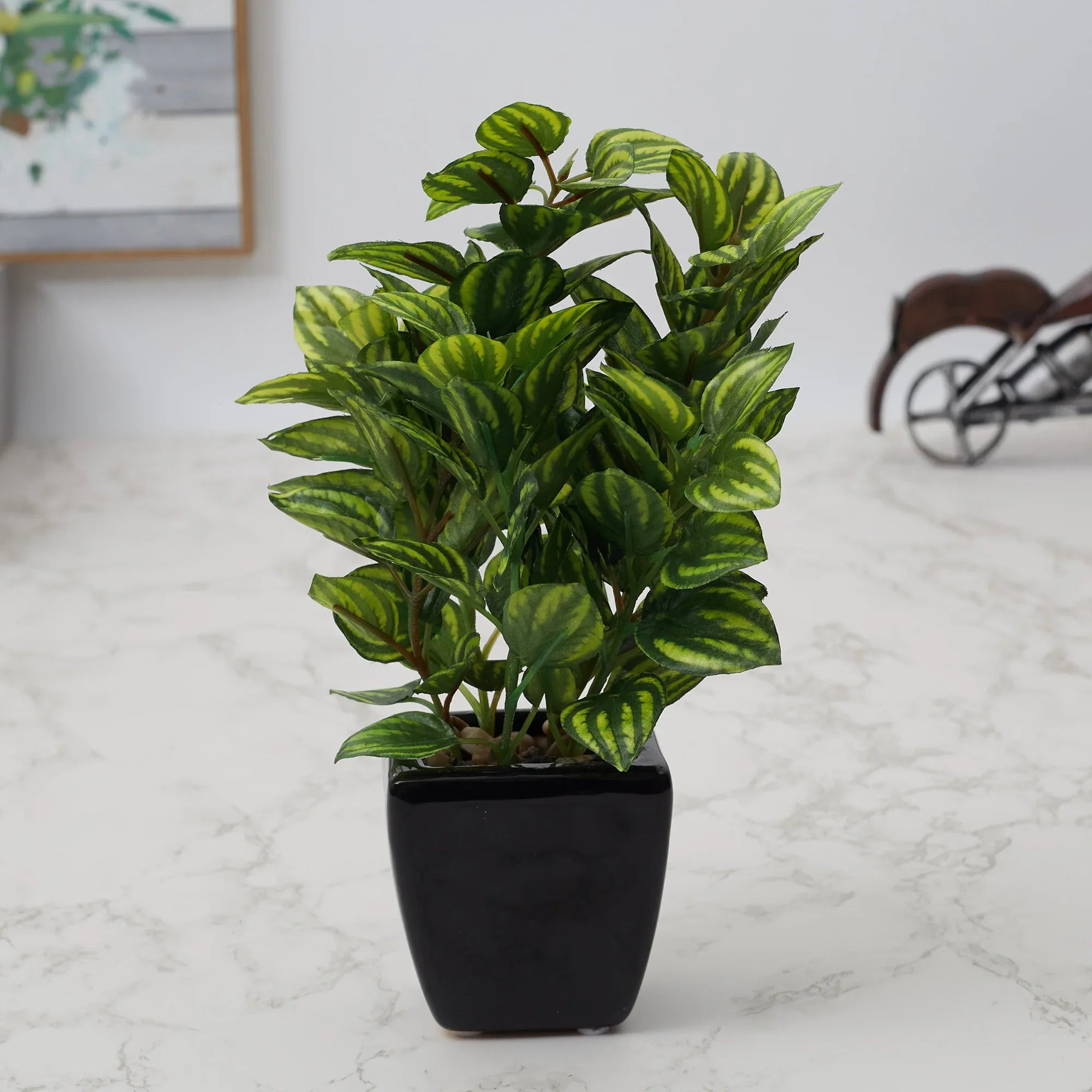 Ilana Faux Peperomia Ceramic Potted Plant 22 Cm in Green Colour - HomeTown