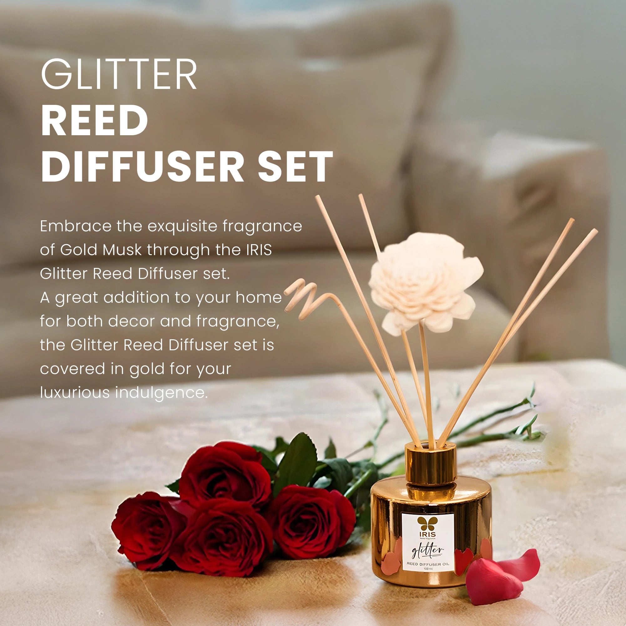 IRIS DIWALI RD SET GOLD MUSK