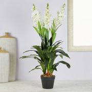 Ilana Artificial Cordate Potted Plant 90Cm in White Colour - HomeTown