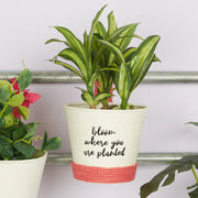 Pep Pop Metal Funky Quote Railing Planter 19Cm in Off White & Fuchsia Colour - HomeTown