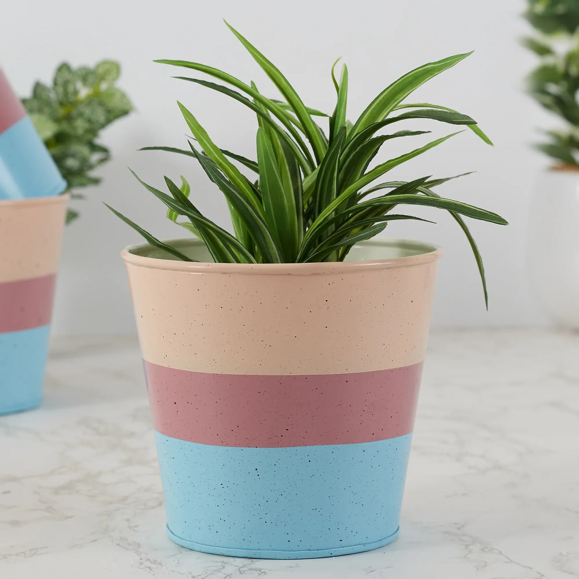 Pep Pop Metal Multi Band Planter 14Cm in Blush Colour