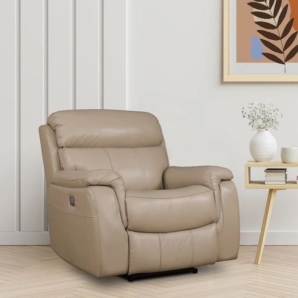 Plush Leather Electric Recliner - HomeTown