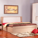 Ambra Queen Size Bed with Box Storage in Oak Colour