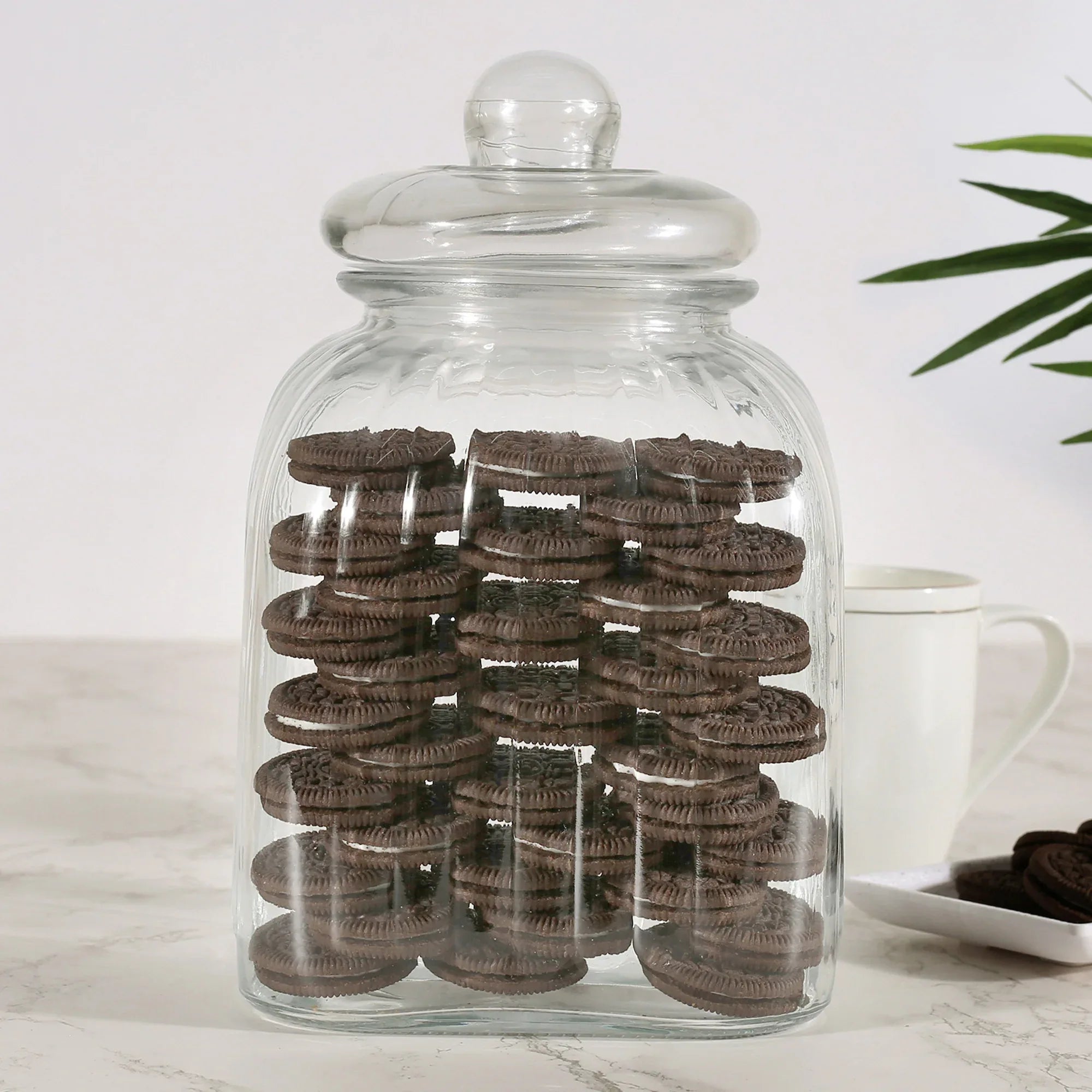 Robust Glass Jar 4000 ml with Lid in Transparent Colour - HomeTown