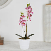 Ilana Artificial Orchid Potted Plant 40Cm in Pink Colour - HomeTown