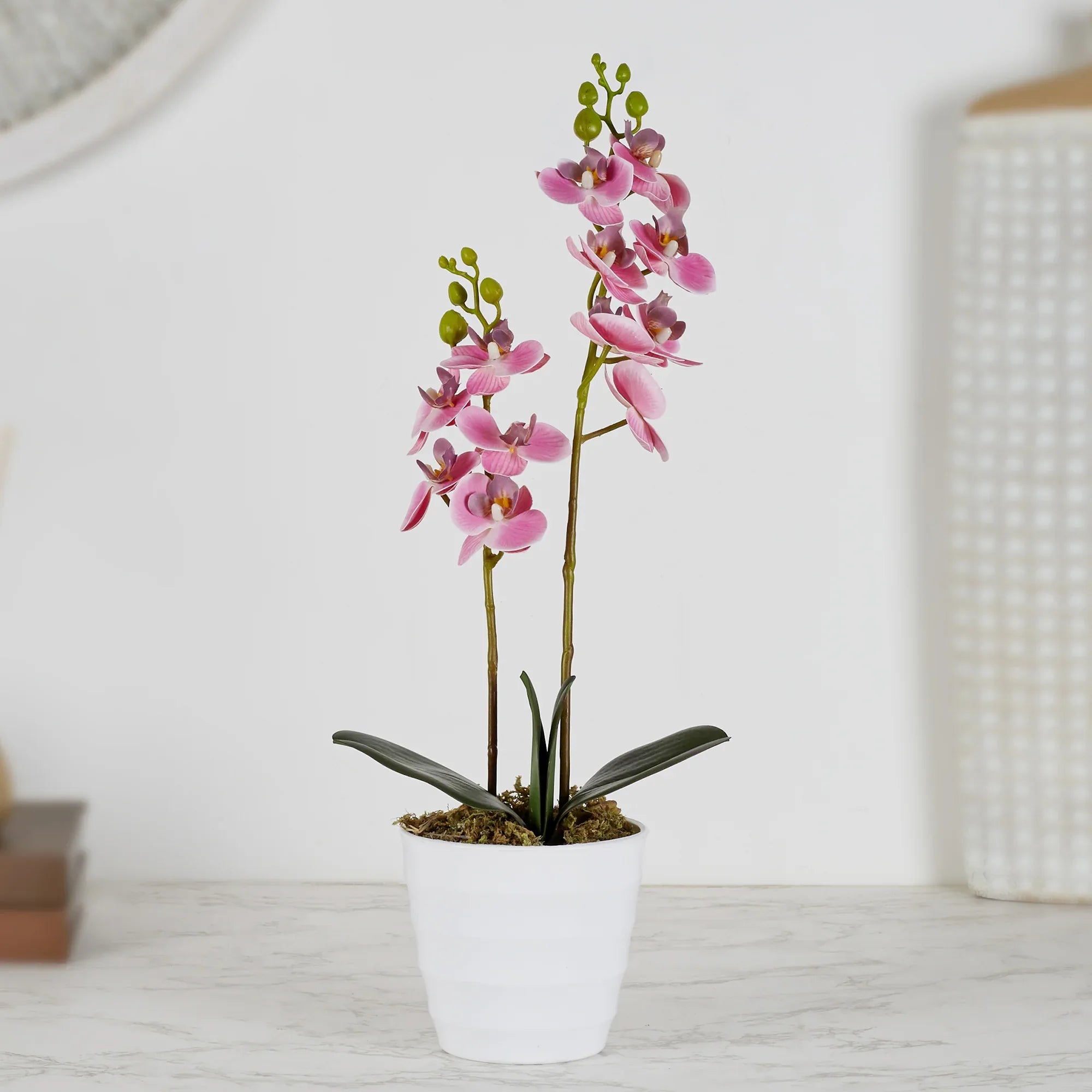 Ilana Artificial Orchid Potted Plant 40Cm in Pink Colour - HomeTown