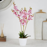 Ilana Artificial Orchid Potted Plant 60Cm in Pink Colour - HomeTown